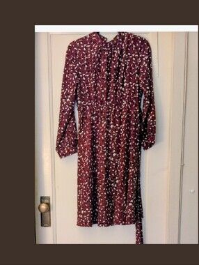 Elegant Maroon Patterned Dress